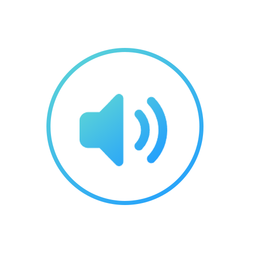 Dual Speakers